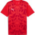 Футболка Puma teamULTIMATE Jersey 706280-01