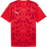 Футболка Puma teamULTIMATE Jersey 706280-01