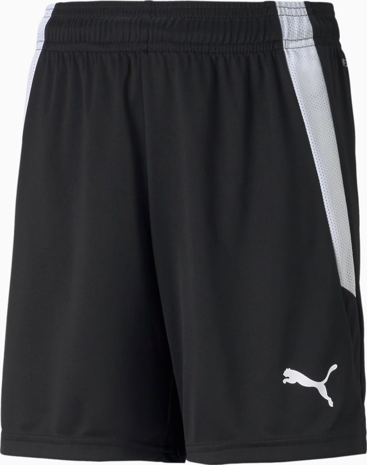 Шорти Puma teamLIGA Shorts Jr чорний, білий Діт 140 см 704931-03