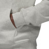 Худі Air Jordan Wordmark Fleece Hoodie Grey FJ1966-050