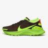 Кросівки чоловічі Nike Pegasus Trail 3 Gore-Tex Black/Green DO6728-200