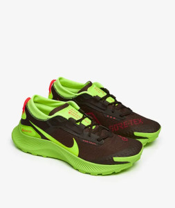 Кросівки чоловічі Nike Pegasus Trail 3 Gore-Tex Black/Green DO6728-200