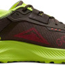 Кросівки чоловічі Nike Pegasus Trail 3 Gore-Tex Black/Green DO6728-200