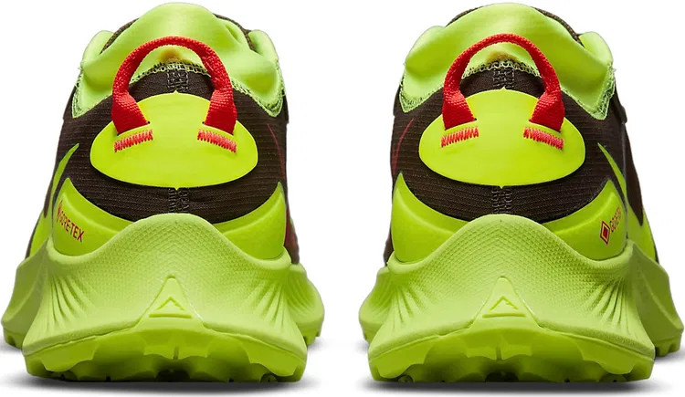 Кросівки чоловічі Nike Pegasus Trail 3 Gore-Tex Black/Green DO6728-200