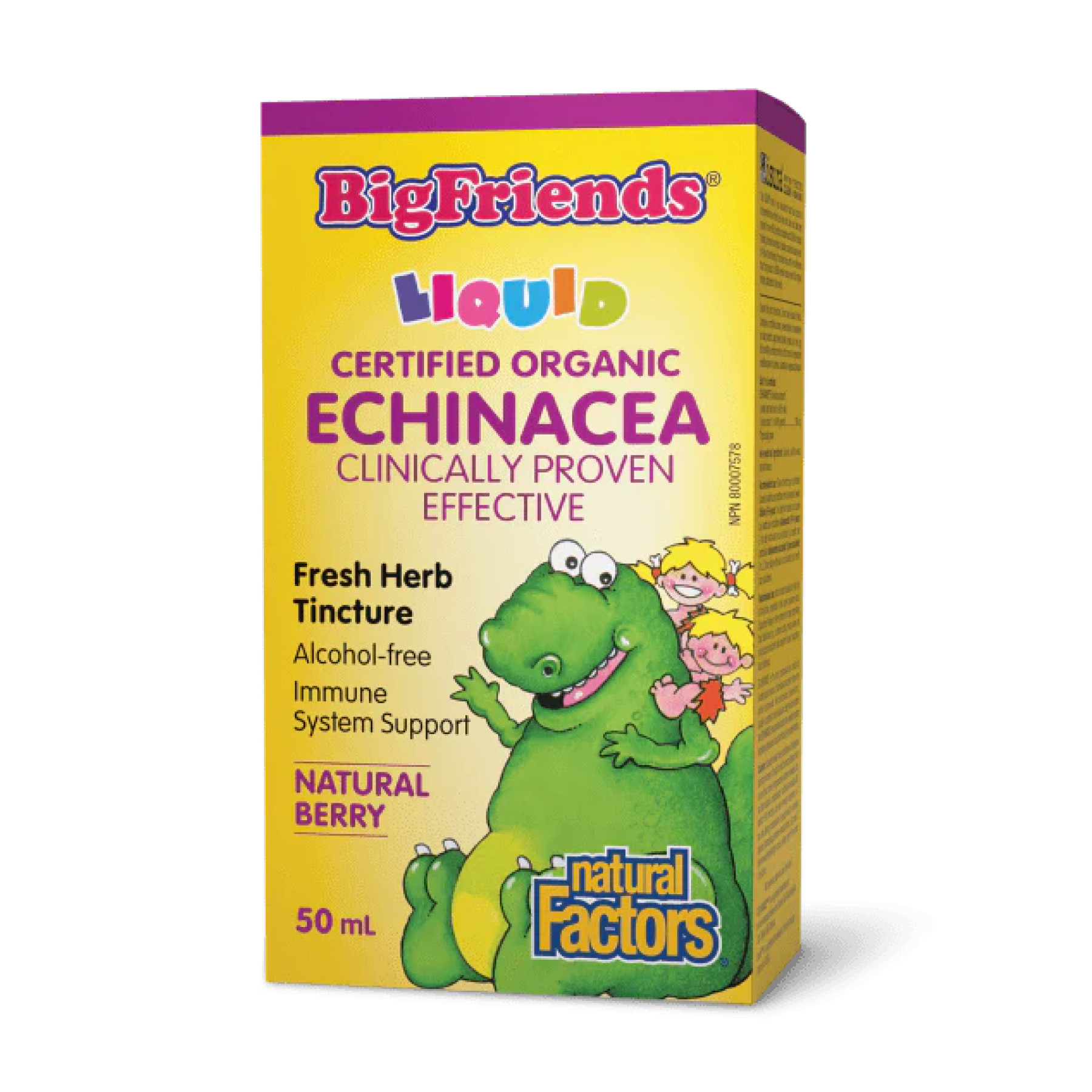 Рідина Natural Factors BigFriends Echinacea Alcohol-Free Fresh Herb Tincture for Kids - 50 ml 2023-10-6564