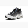 Кросівки Nike Air Max 95 Grey Blue DH4754-001