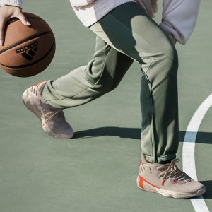 Кросівки Adidas DAME 7 FZ1046