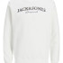 Толстовка JORMINISTRY SWEAT CREW NECK 12180410 Cloud Dancer Jack&Jones L Білий 12180410CloudDancer