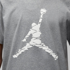 Футболка JORDAN CREW 3 DX9581-091