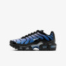 Кросівки Nike AIR MAX PLUS GS IB2867-001