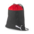 Рюкзак мішок Puma teamGOAL 23 Gym Sack 16L червоний Уні 38,5 x 44 см 076853-01