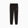 Штани PUMA CLASS Better Sweatpants 68825001