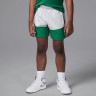 Костюм спортивний дитячий Air Jordan 2-Piece Stacked Mixed Set Green 85D767-G2H