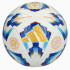 М'яч футбольний adidas Аргентина 2024 Pro - Білий IS7440 IS7440