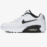 Кросівки Nike Air Max 90 (GS) White DC9198-100