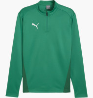 Кофта Puma teamGOAL Training 1/4 Zip Top 658629-05