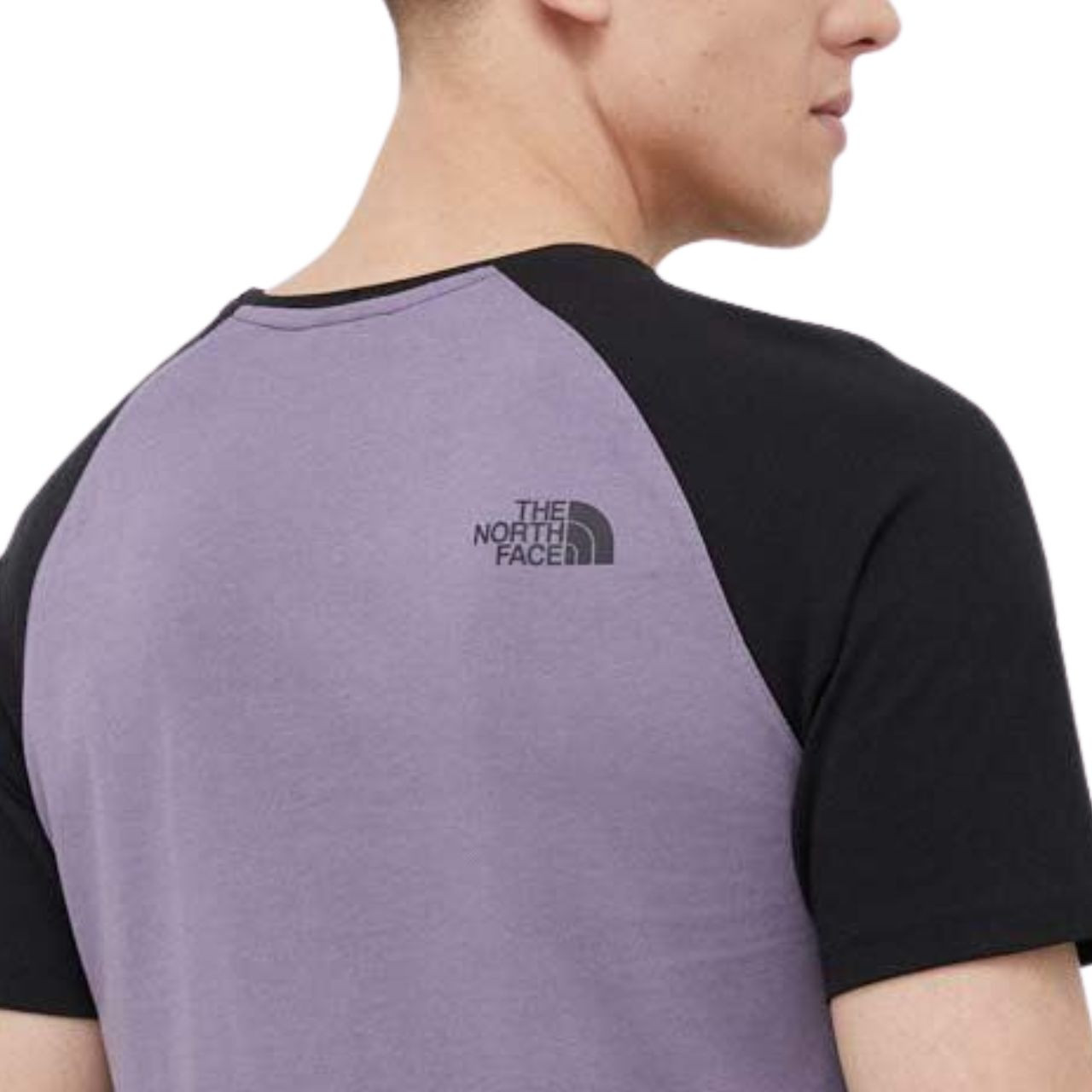 Футболка North Face S/S RAGLAN EA NF0A37FVN141