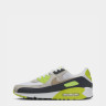 Кросівки чоловічі Nike Air Max 90 DM0029-107