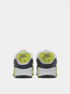 Кросівки чоловічі Nike Air Max 90 DM0029-107