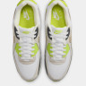 Кросівки чоловічі Nike Air Max 90 DM0029-107