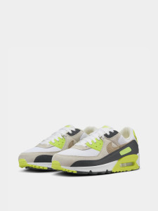 Кросівки чоловічі Nike Air Max 90 DM0029-107