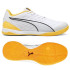 Футзалки Puma Ibero IV 107418-04