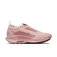 Кросівки Nike W PEGASUS TRAIL 5 GTX FQ0912-601