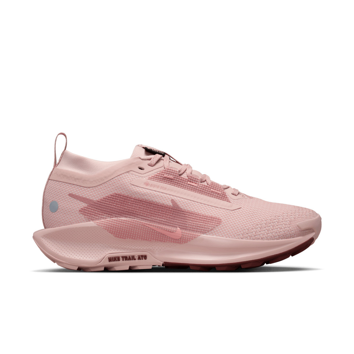 Кросівки Nike W PEGASUS TRAIL 5 GTX FQ0912-601