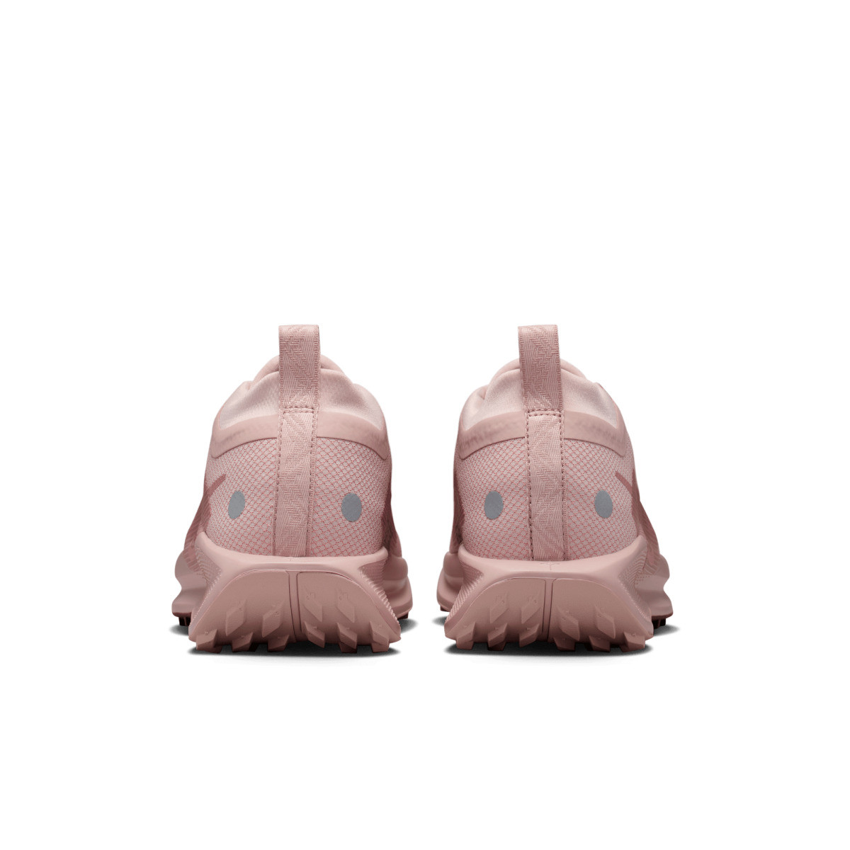 Кросівки Nike W PEGASUS TRAIL 5 GTX FQ0912-601