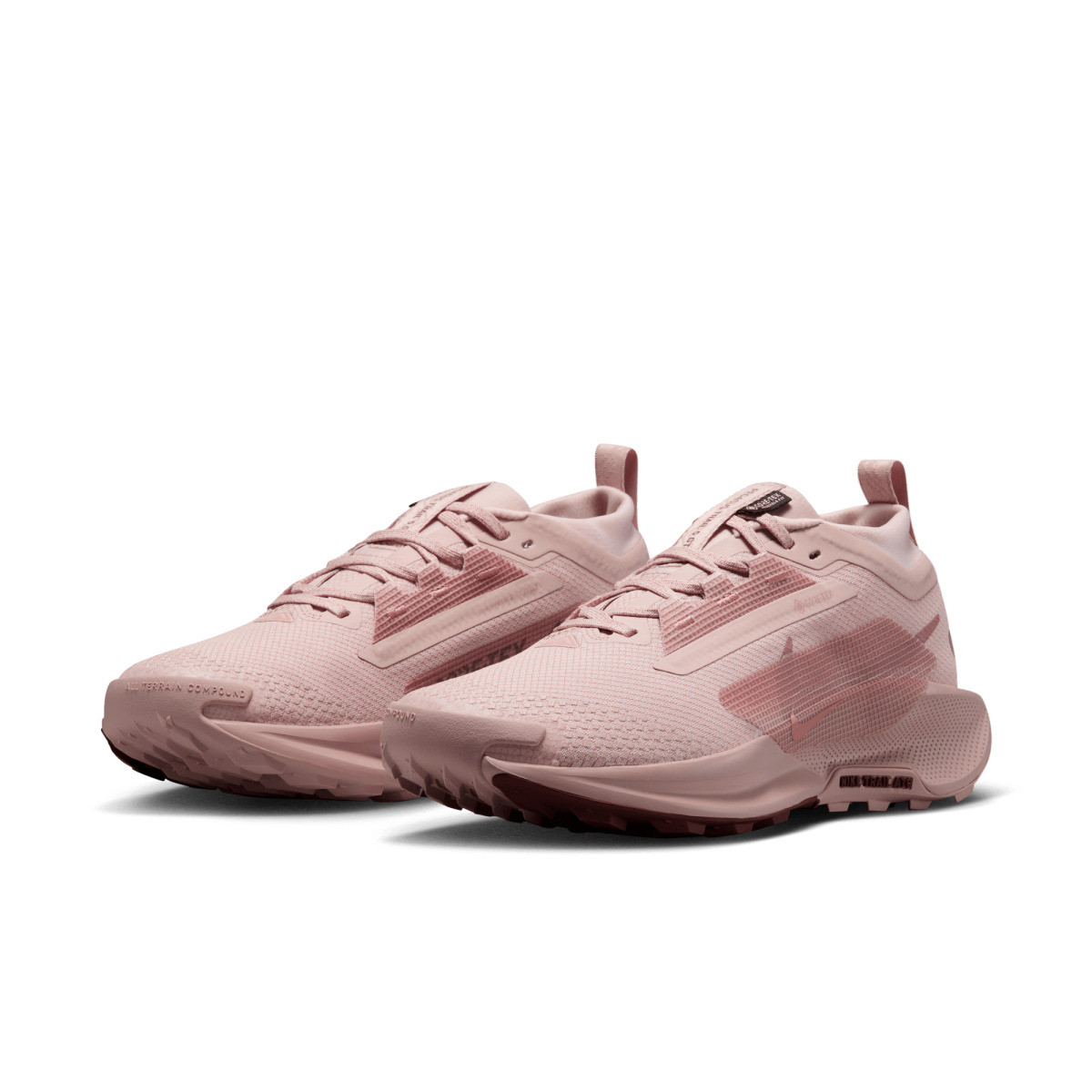 Кросівки Nike W PEGASUS TRAIL 5 GTX FQ0912-601