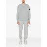 Кофта Sweatshirt Stone Island grey 811561241 V0166