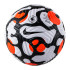 М'яч футбольний  Nike PL NK FLIGHT- FA21 DC2209-100