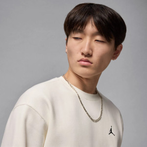 Толстовка Jordan M BRK FLC CREW FV7293-133