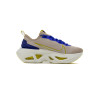 Кросівки NIKE ZOOM X VISTA GRIND CT8919-200
