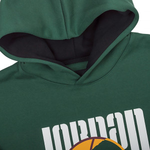 Кофта Jordan M J SPRT DNA HBR FLC PO DC9639-333