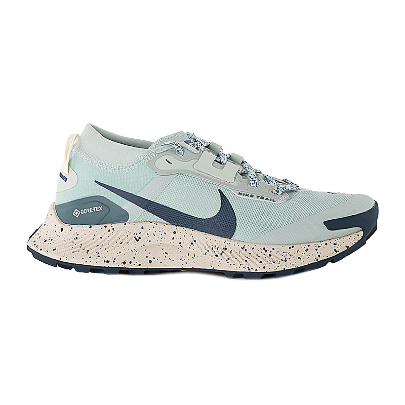 Кросівки бігові Nike W  PEGASUS TRAIL 3 GTX DC8794-003