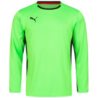 Кофта воротаря Puma V1.08 700466-15 700466-15
