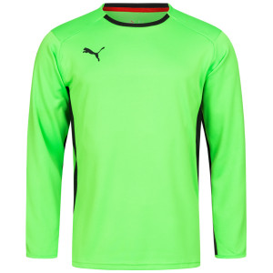 Кофта воротаря Puma V1.08 700466-15 700466-15