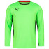 Кофта воротаря Puma V1.08 700466-15 700466-15