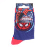Шкарпетки Spider Man TETE SPIDERMAN синій Діт 19-22 43890147-8