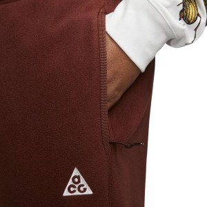 Штани Nike ACG Wolf Tree Polartec CV0658-217