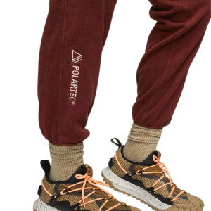 Штани Nike ACG Wolf Tree Polartec CV0658-217