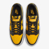 Кросівки Nike DUNK LOW FZ4618-001