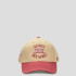 Бейсболка 47 Brand DETROIT RED WINGS DUSTED ABIL DSAIB05GWS-KH