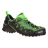 Кросівки Salewa MS Wildfire Edge GTX 013.001.4843