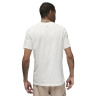 Футболка Jordan M SPRT SS DF GFX CREW FN5974-100