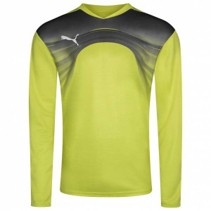 Кофта воротаря Puma Goalkeeper 700785-32 700785-32