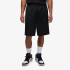Шорти Jordan M IA CAT-SCRATCH SHORT HV8680-010