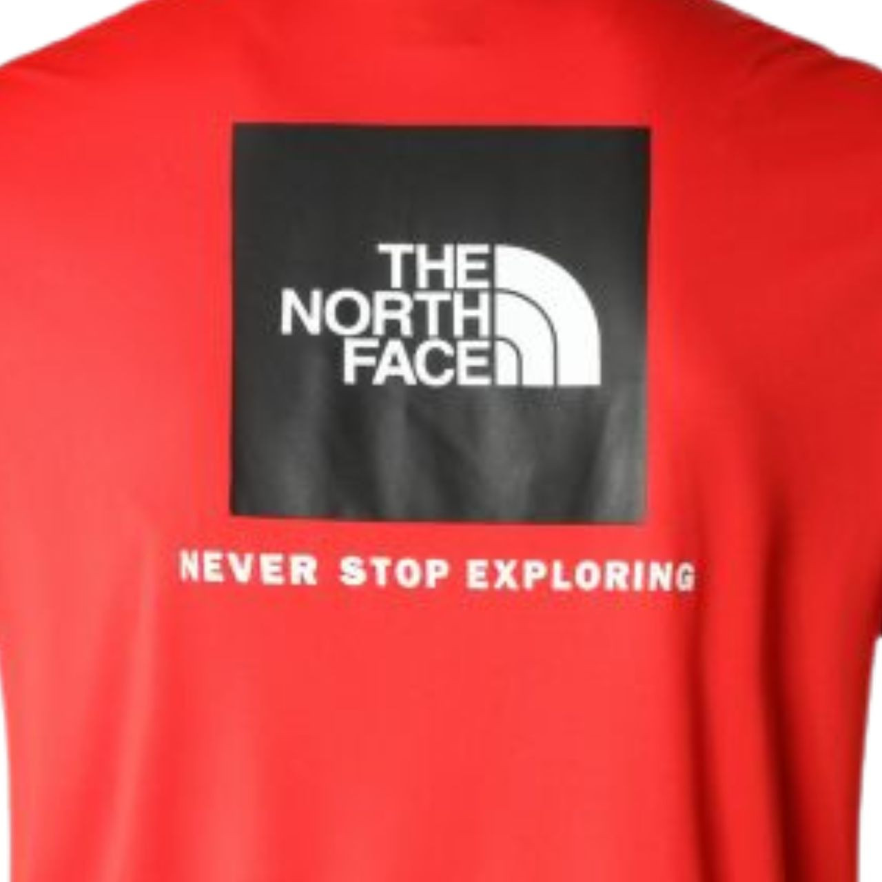 Футболка The North Face Reaxion Red Box NF0A4CDW15Q1