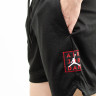 Шорти Jordan M J AJ5 MESH GFX SHORT DD5274-010